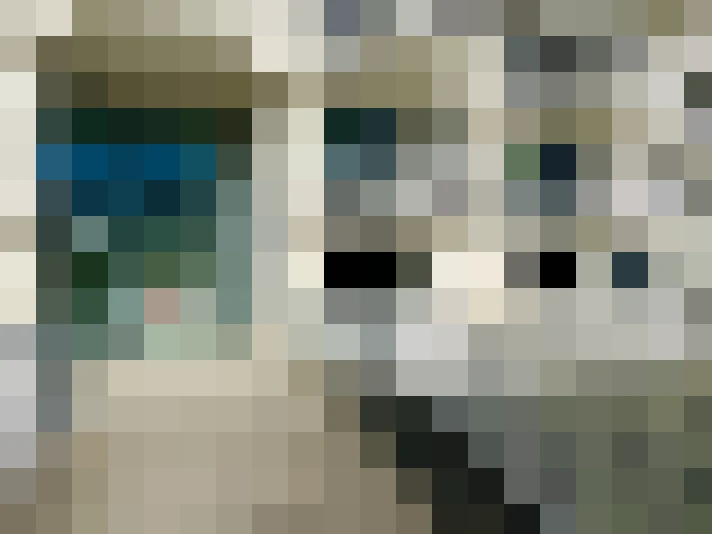  / #13