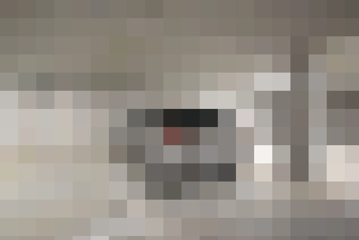 / #12