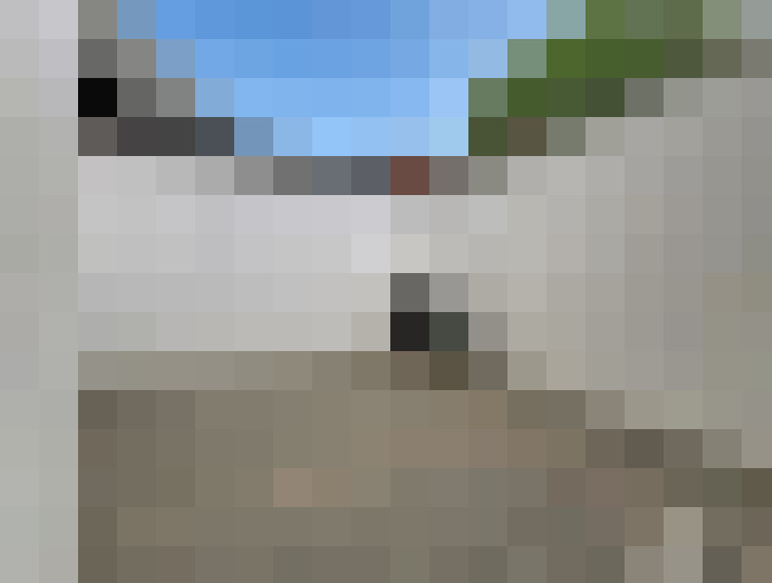  / #11