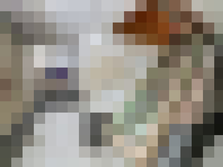  / #16