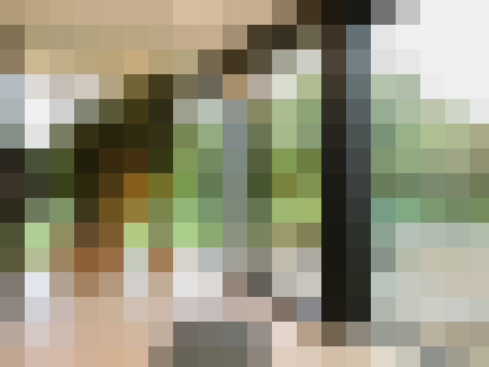  / #14