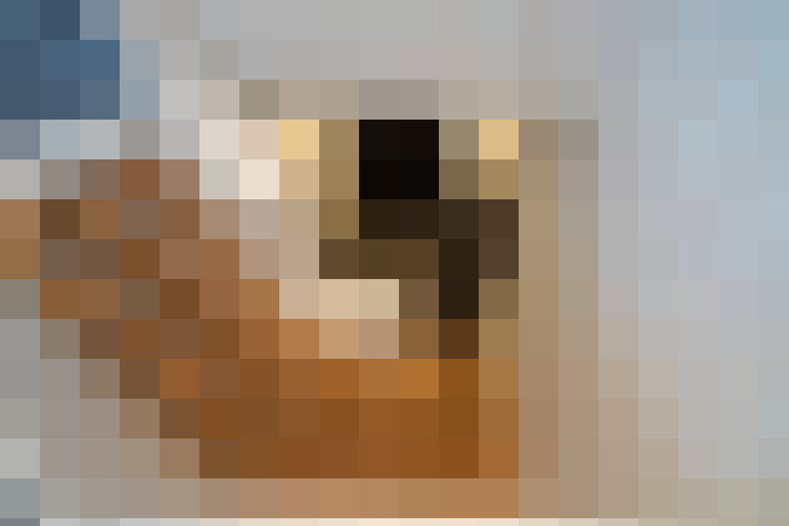  / #16