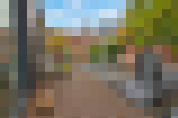  / #7