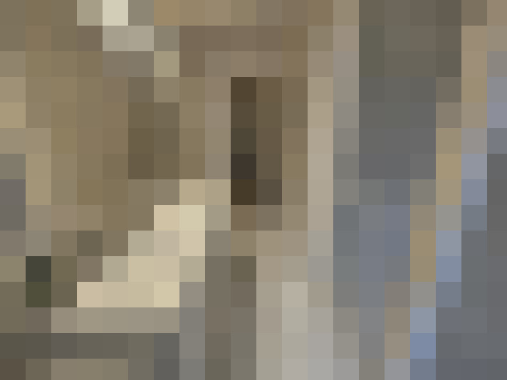  / #24