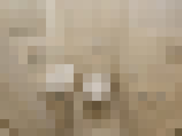  / #21