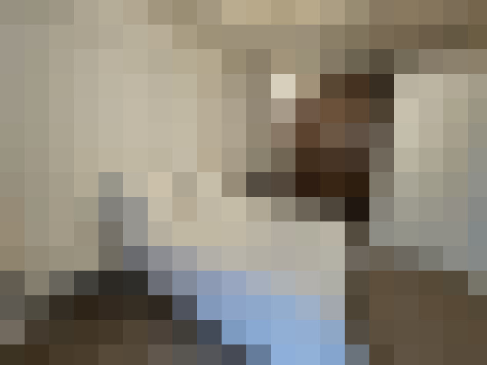  / #20