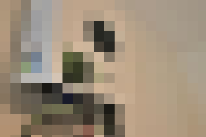  / #19