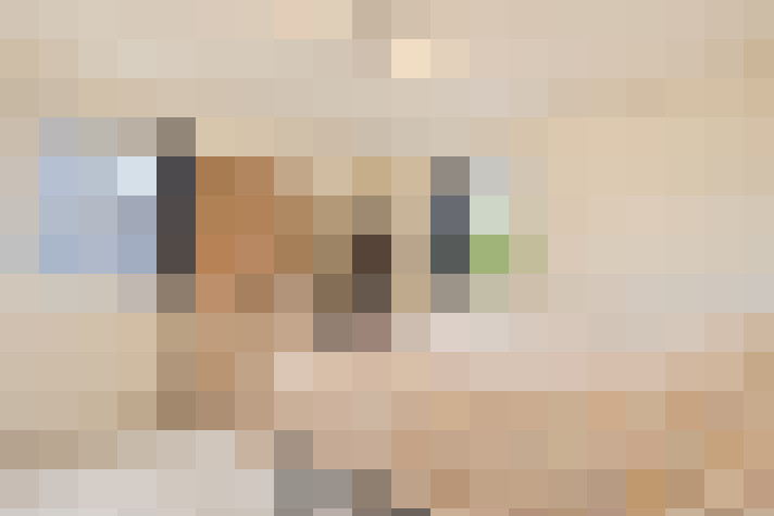  / #11