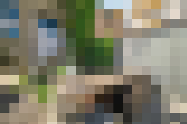  / #14