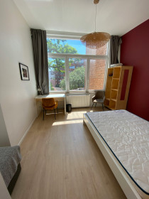 Zimmer in Saint-Gilles