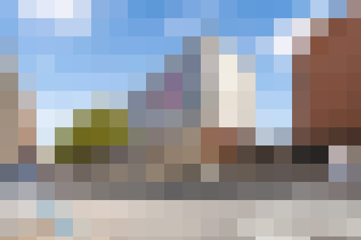  / #20