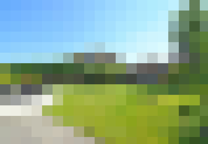  / #14
