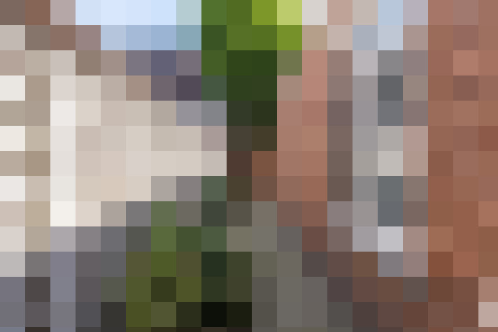  / #13
