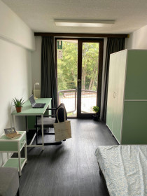 Chambre à Saint-Gilles