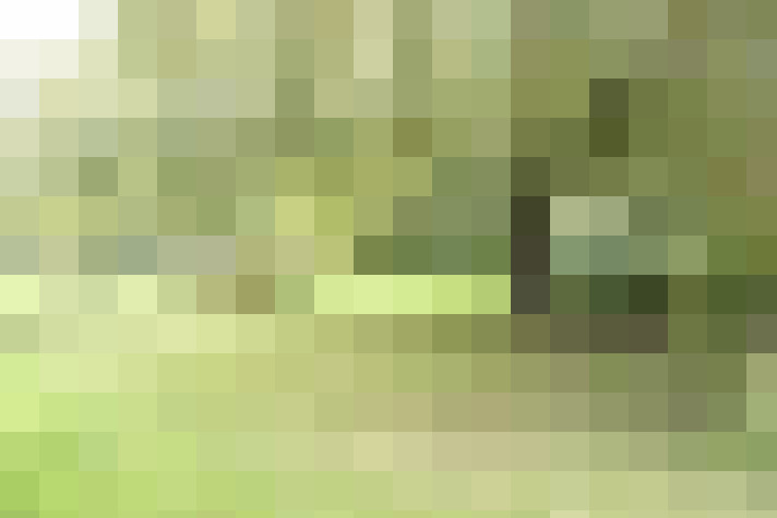  / #12