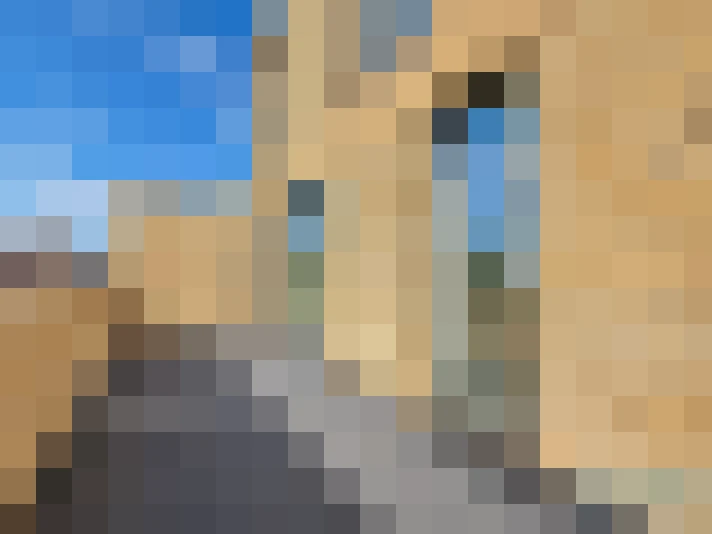  / #16