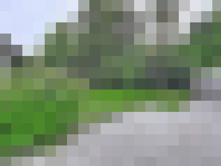  / #8