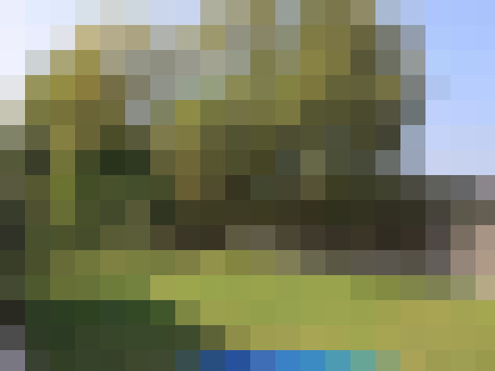  / #16