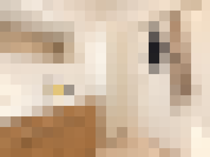 / #15