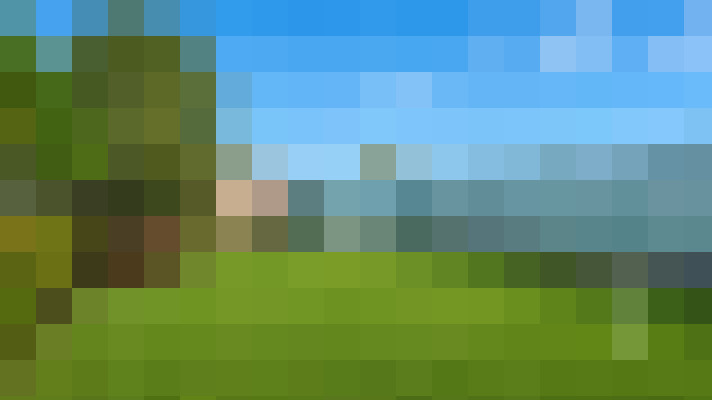  / #16