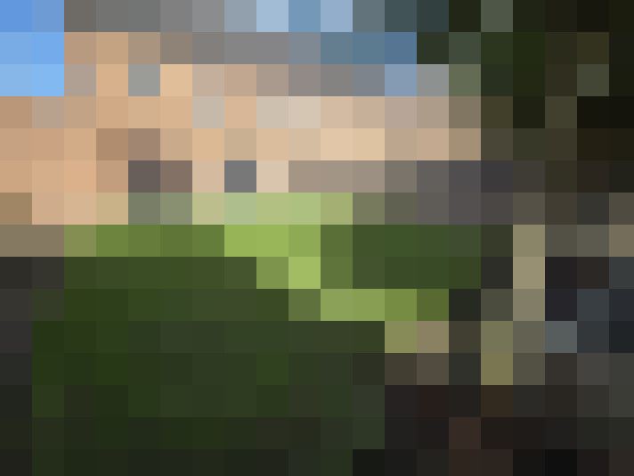  / #16