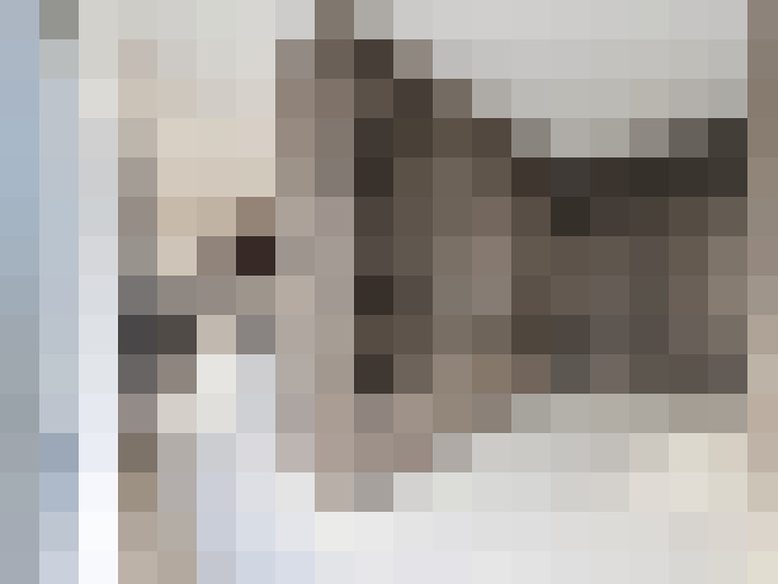  / #8