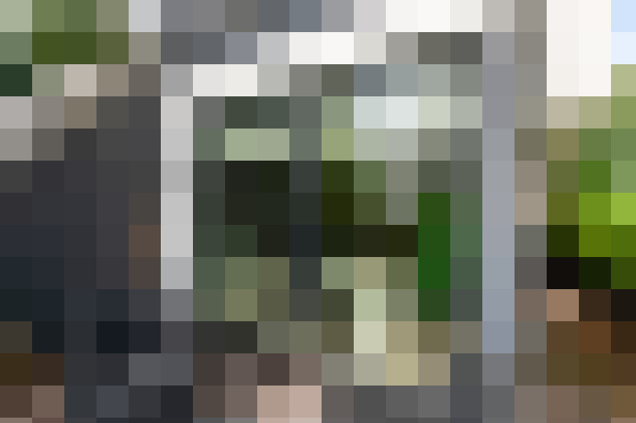  / #22
