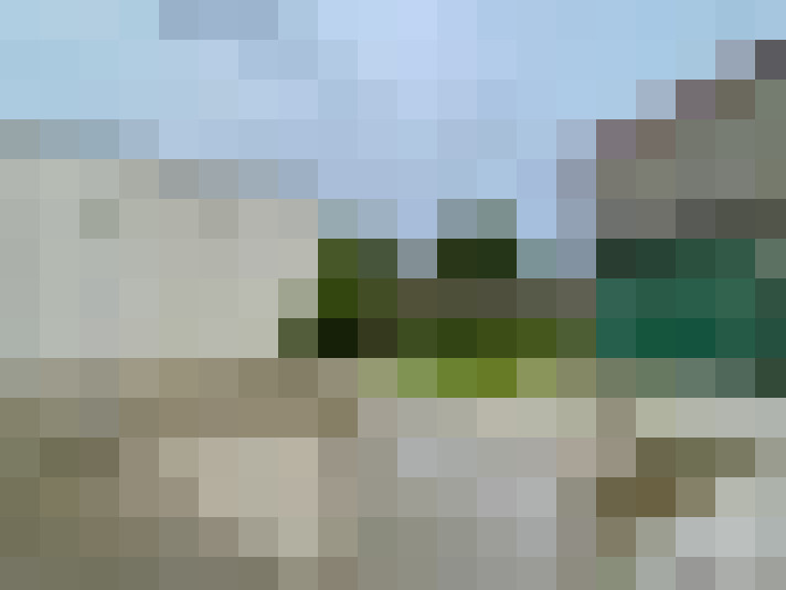  / #15