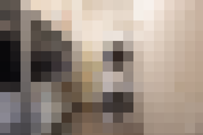  / #13