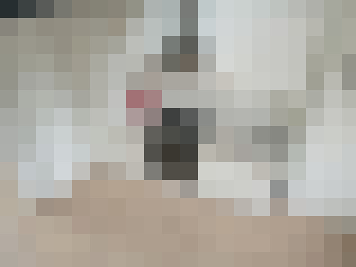 / #7