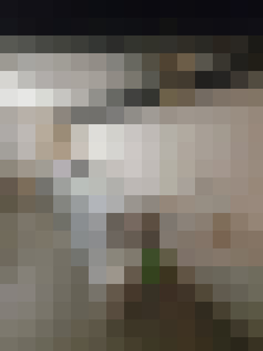  / #19