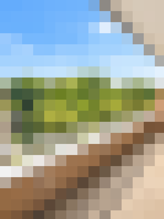  / #15