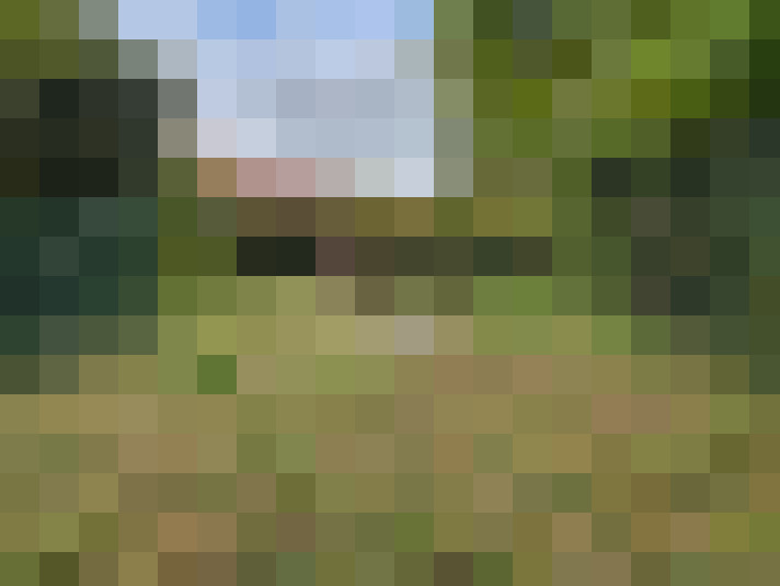  / #15