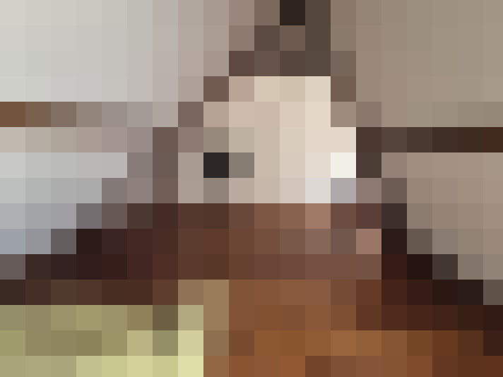  / #17