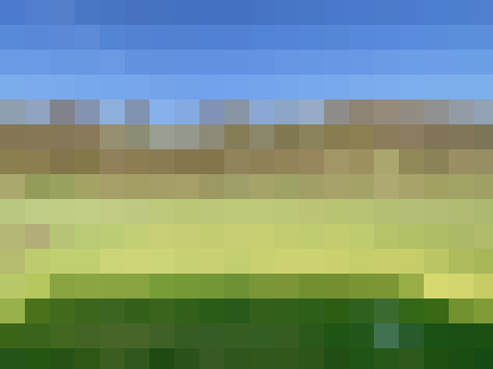  / #17
