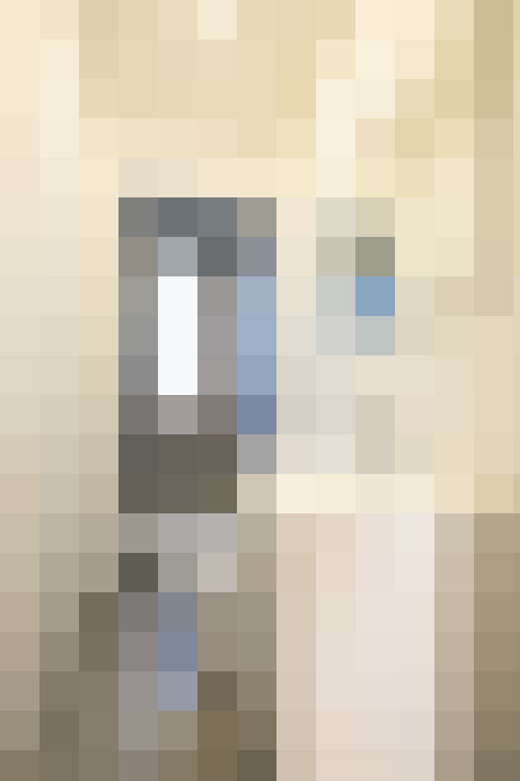  / #8
