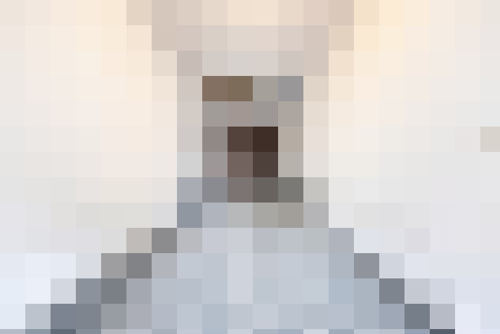 / #11