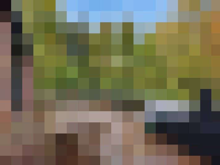  / #12
