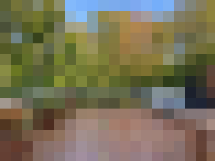  / #13
