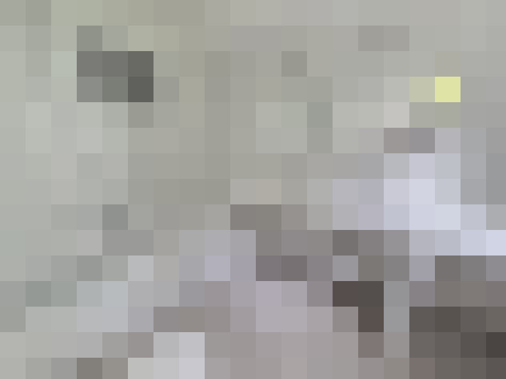  / #17