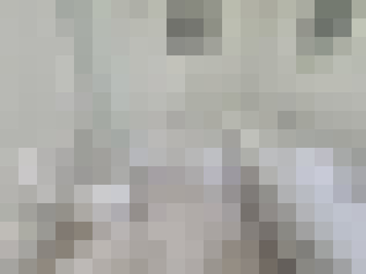  / #21