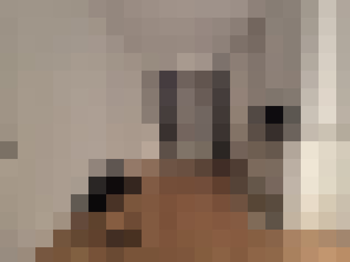  / #15