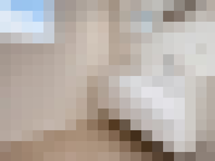  / #14