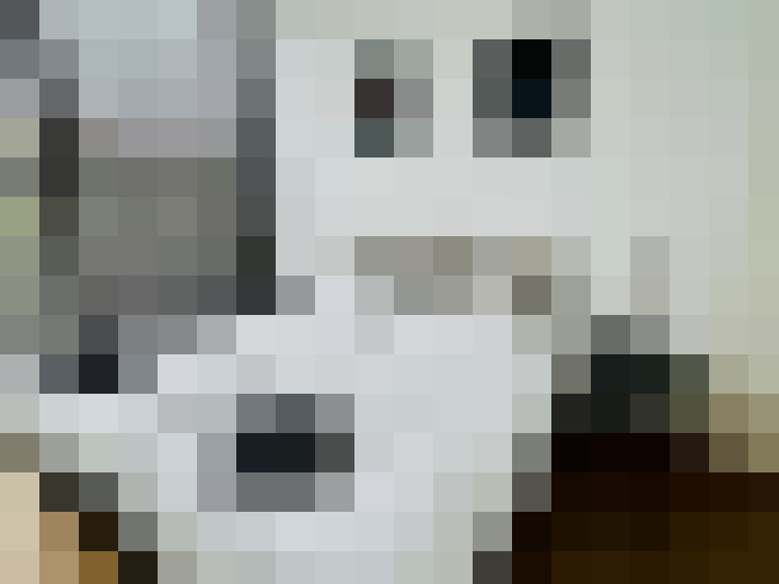  / #15