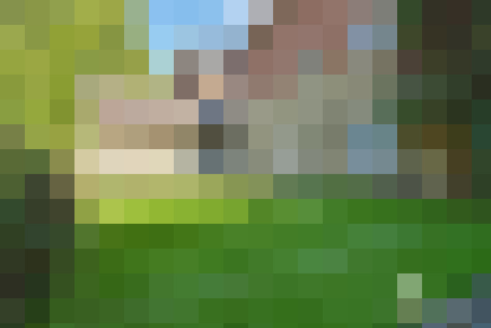  / #13