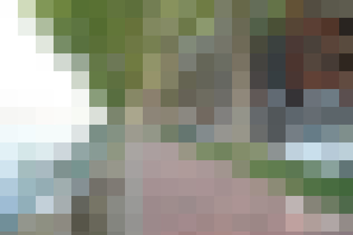  / #16