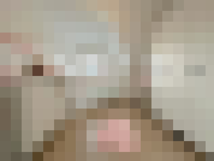  / #11