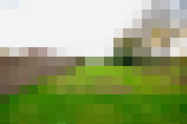  / #15