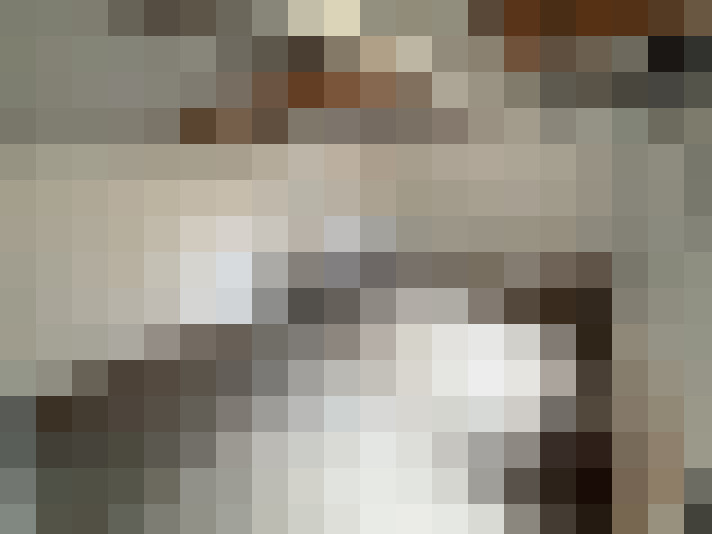  / #24