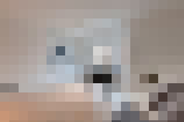  / #7